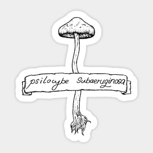 Psilocybe subaeruginosa Sticker